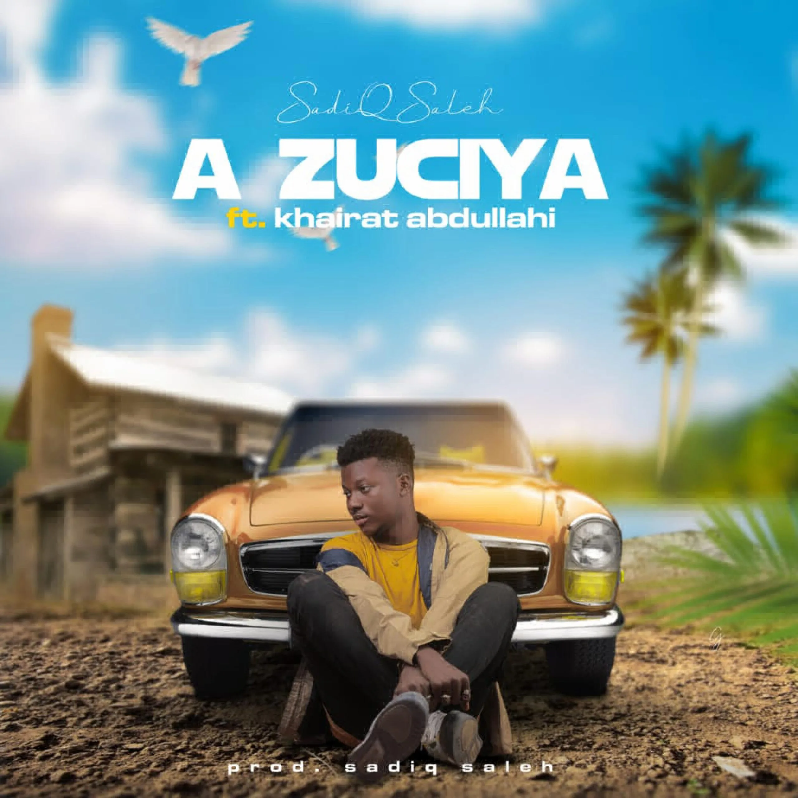 Sadiq Saleh - A Zuciya