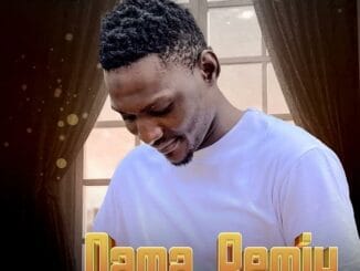 Nazeer H Maiatamfa - Dama Remix