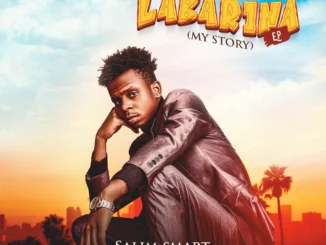 Salim Smart - Labarina EP