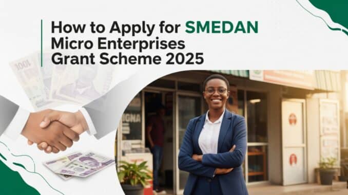 How to Apply for SMEDAN Micro Enterprises Grant Scheme in 2025 smedan micro enterprises grant scheme