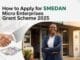 smedan micro enterprises grant scheme