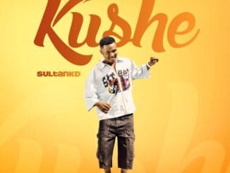 MUSIC: Sultan KD - Kushe Sultan KD - Kushe