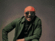 Terry G Respect Music Legends