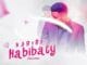 Z Square - Habibi Habibaty