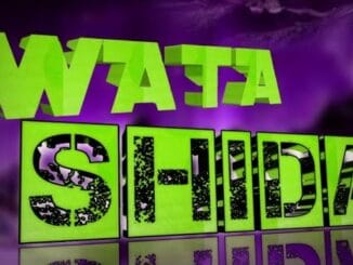 Abdul D One - Wata Shida