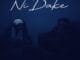 David Beatsz - Ni Dake Ft. Maryam A Sadik