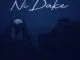 David Beatsz - Ni Dake Ft. Maryam A Sadik