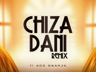Abdul D One - Chiza Dani Remix Feat. Ado Gwanja