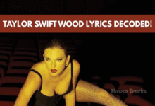 Wood Taylor Swift Lyrics Meaning