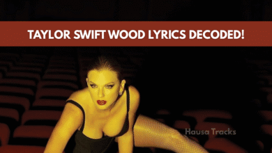 Wood Taylor Swift Lyrics Meaning
